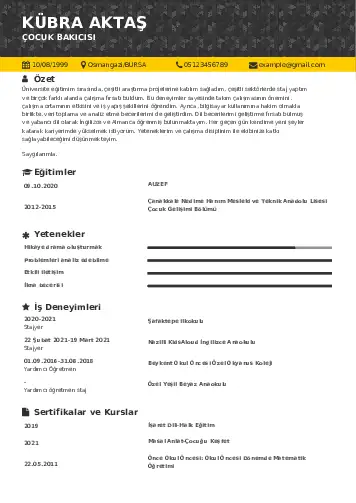 Çocuk Bakıcısı CV Örnekleri cv indir